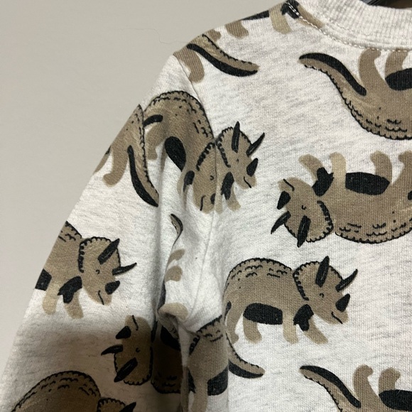Carter's Size 18 Months Gray Brown Dinosaur Pull Over Long Sleeve Sweatshirt - Picture 6 of 7